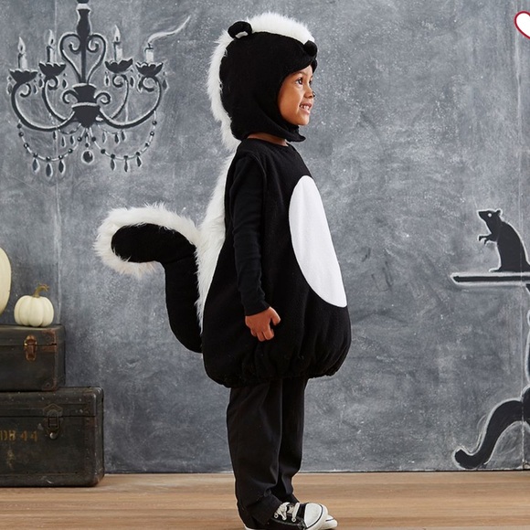 Pottery Barn Skunk Costume